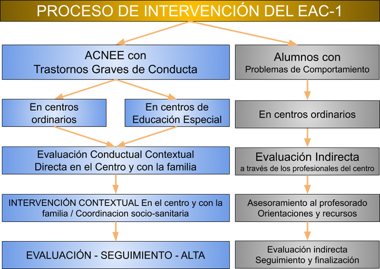 Proceso intervención y asesoramiento